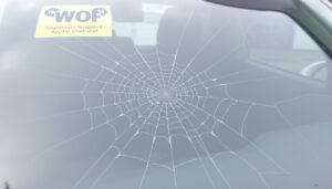 Smith & Smith Glass: Windscreen Replacement & WoF Guide